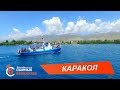 КАРАКОЛ - Сыймык Бейшекеев