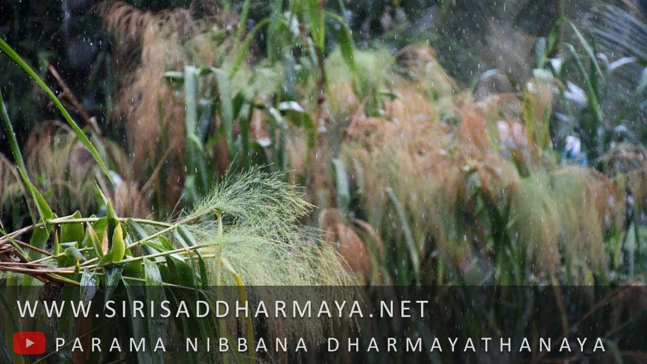 ධම්ම දේශනාව​ (2023 - 05 - 07) || සිරි ධම්මාලංකාර මහා අරිහත් බුදුපියානන් වහන්සේ || Siri Saddharmaya