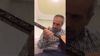 Zazaça Agam Aslanparçası Şar To Çımini Kenno