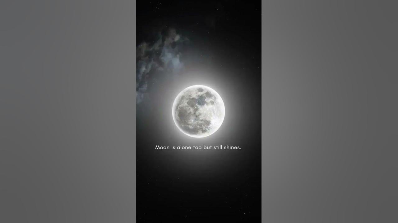#moon #moonlight #moonnight #@Quotefulvision #quotefulvision