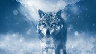 PACK DE 150 WALLPAPERS - HD 4k #2 | (Design, paisagens, animais, games)