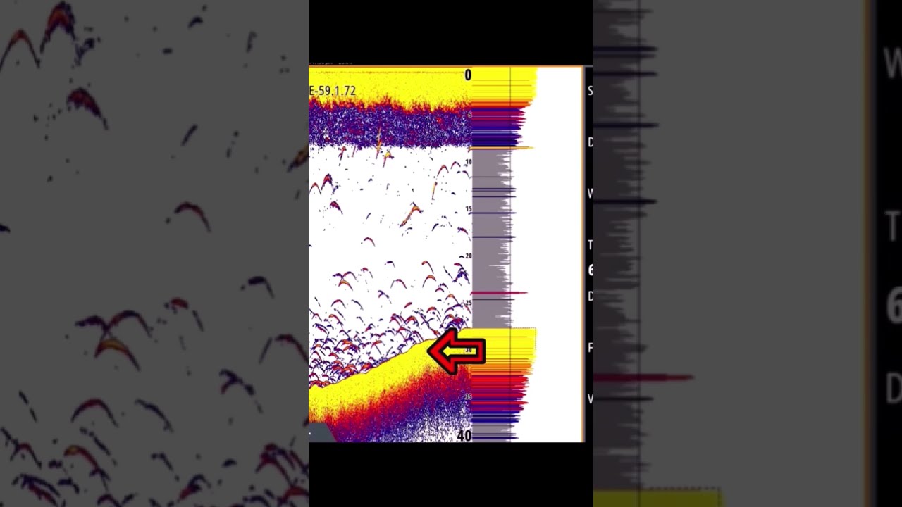 Fish Finders For Dummies Sonar Explained Beginners What The Colors Mean 