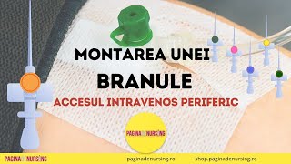 Montarea unei branule (cateter venos periferic) Tehnica AMG