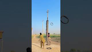 Ultimate Pole Target Throw