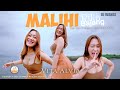Dj Malihi Lagu Dayak - Vita Alvia (Tagal haranan duit dan jabatan) (Official M/V)