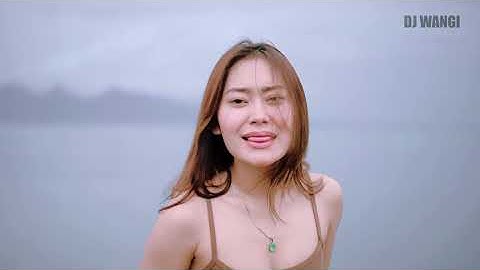 Dj Malihi Lagu Dayak - Vita Alvia (Official Music Video)