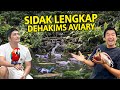 SIDAK TERLENGKAP DEHAKIMS AVIARY IRFAN HAKIM! SEMUA ISINYA KITA GELEDAH!