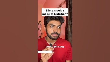 Biological Classification | NEET 2024 Important Questions🔥| Class 11th #neet2024