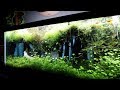 All Aquarium Update June 2018