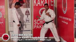 Basic Karate Kicks   Maegeri