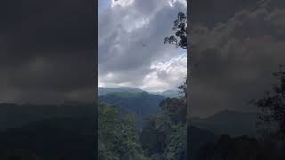 🌫️⛰️🌿#nature #kerala #trending
