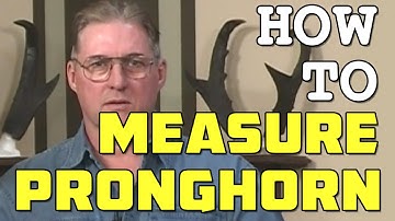 How to Measure a Pronghorn