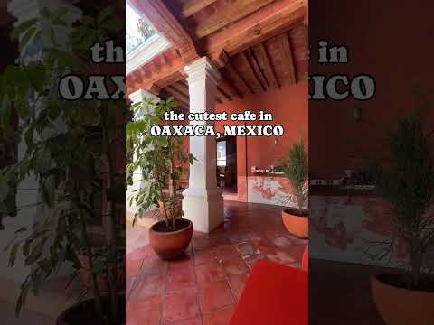 The cutest cafe in Oaxaca โจ๐ธ