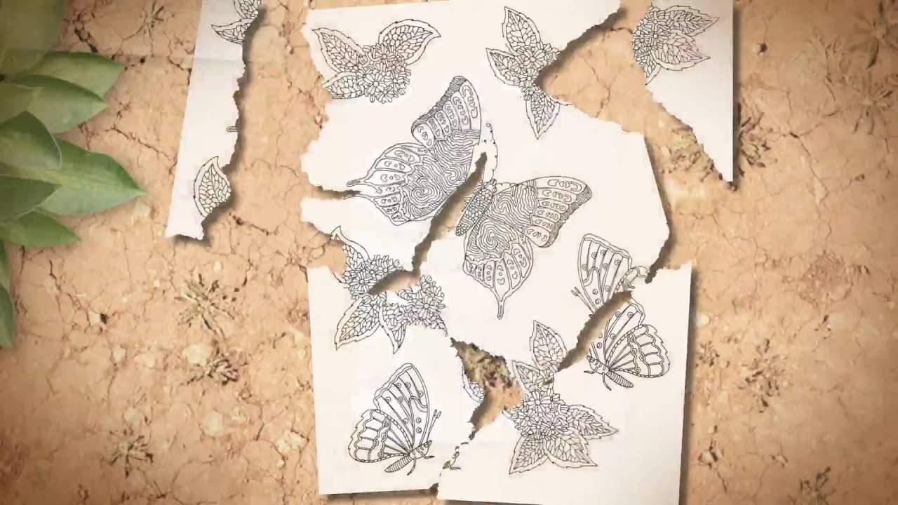 Beautiful Butterflies And Flowers Adult Coloring Book Butterfly Coloring Book Youtube