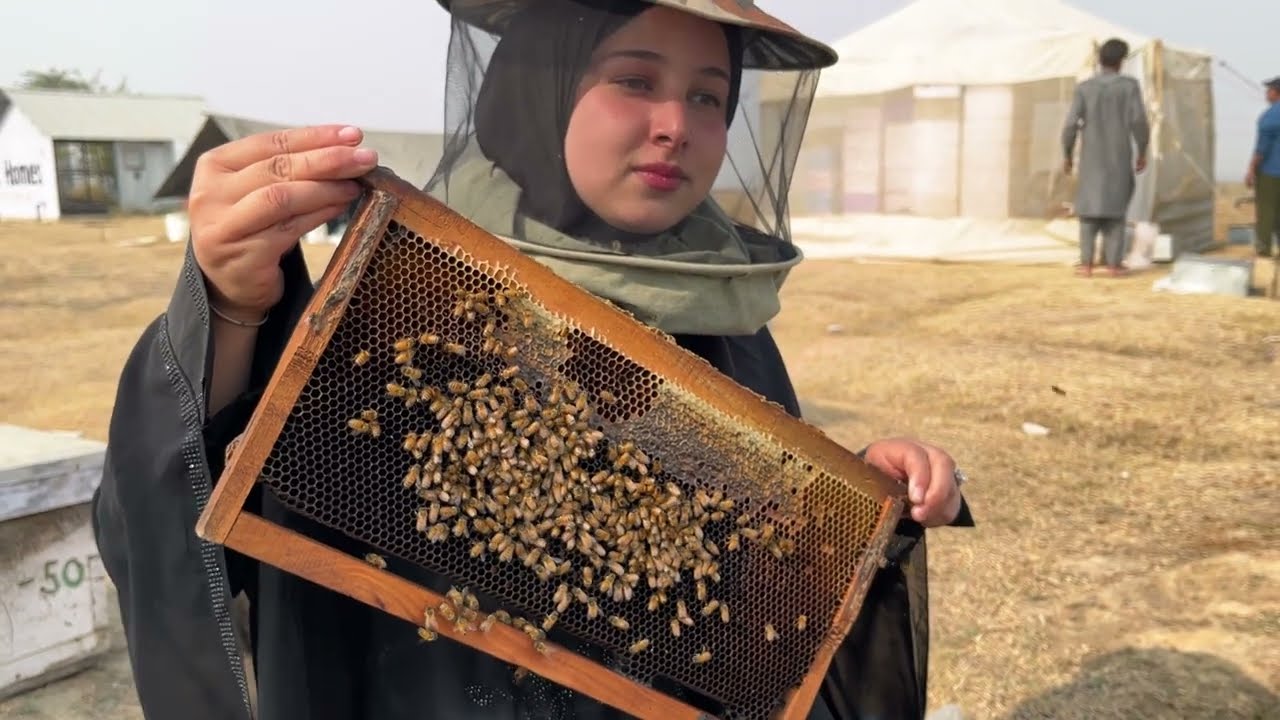 Srinagar Woman Leaves Physiotherapy Career to Start Beekeeping Business