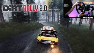 🏴󠁧󠁢󠁷󠁬󠁳󠁿 Citroen C4 WRC - PETTER SOLBERG | Dirt Rally 2.0 | Rally Wales | Fanatec CSL DD Gameplay