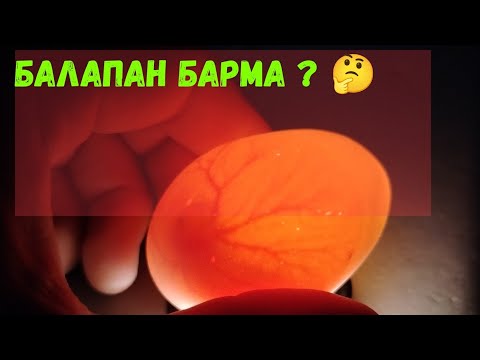 Киім бөлмесіндегі қызға қарап тұр