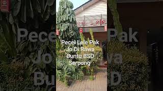 shorts pecellele Pak Jo Di Rawa Buntu BSD Serpong Tangerang Selatan