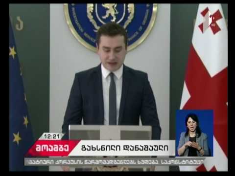 სახელმწიფოს კუთვნილი უძრავი ქონების თაღლითურად დაუფლების ფაქტზე ოთხი პირი დააკავეს