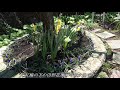 庭工事から1年後の花壇2019年4月4日(4K) の動画、YouTube動画。