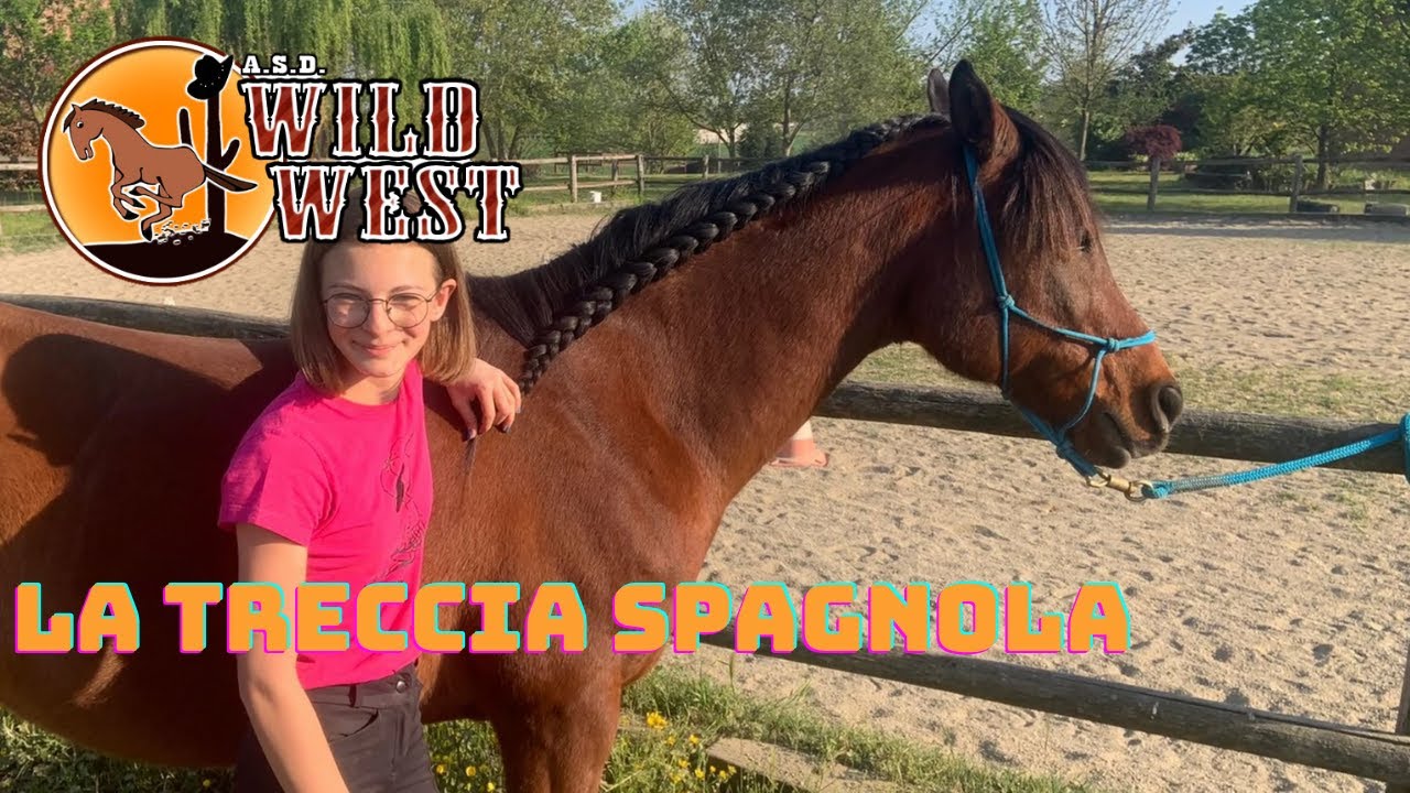 Benda elastica per cavalli Harry's Horse Magic braids, pot