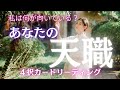 【４択】あなたの天職💫ナチュラルにこなせていることを知る【体験談シェア】HSP/インナーチャイルドとの対話🌈