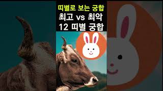 소띠에게 복을 가져다 주는 띠는? 띠궁합! 소띠와 만나면 최고 vs 최악의 궁합 띠 #띠별운세, #띠별궁합,…