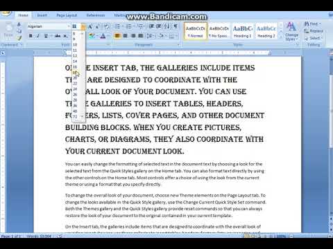 MS Word  font size - M S Word