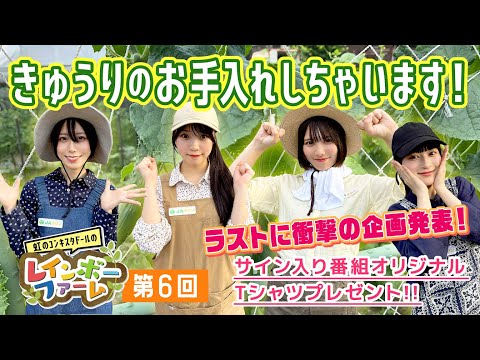 第６回「きゅうりのお手入れしちゃいます！」虹のコンキスタドール