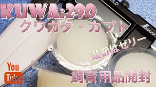 ちょっと高いゼリー1500個【DDA】クワガタ&カブトムシ【用品開封０１】