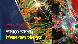 ভারতে নতুন আতঙ্ক বিরল স্নায়ুরোগ জিবিএস। GBS in India | @bdnews24