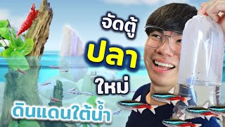 ตู้ปลาใหม่!! เมื่อผมสร้างโลกสองฝั่งใต้น้ำ..?