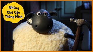 Những Chú Cừu Thông Minh 🐑 Mùa 2 phần 2 Tập đầy đủ