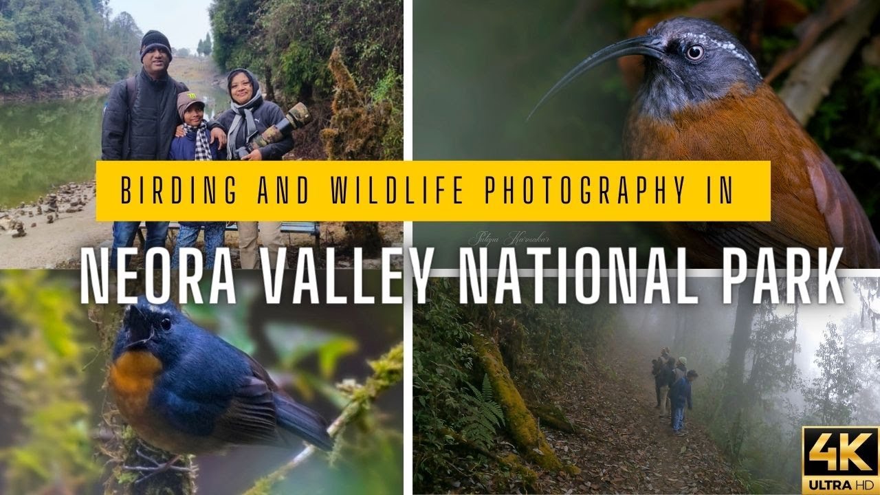 Netora Harley Neora Valley National Park | Mulkharkha Lake | Offbeat North Bengal ...