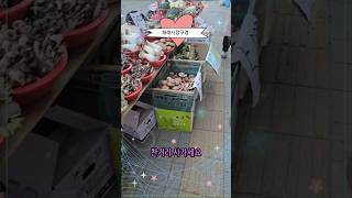 찬거리 사가세요🥦🥕🌶🫑Shorts