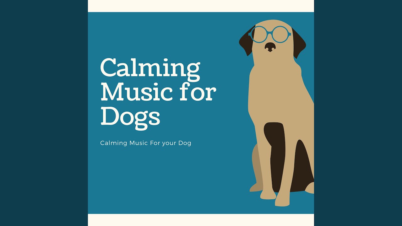 Calming Music for Your Dog
