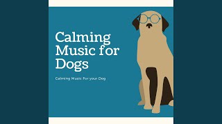 Calming Music for Your Dog