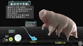 미시 세계 크기 비교 2023│원자, 분자, DNA, 반도체, 바이러스, 미세먼지(황사), 완보동물 물곰 등 양자역학과 생물학의 기본을 이루는 미시 우주 크기 비교