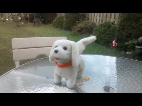 battery operated walking dog