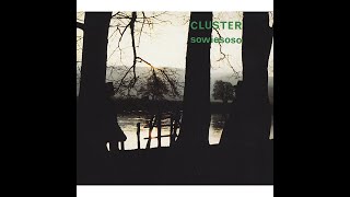 Cluster - Sowiesoso  432Hz  HD