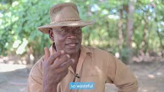 Zambian Dairy Farmer Spotlight - Naluli Sibeso of Bamakasi