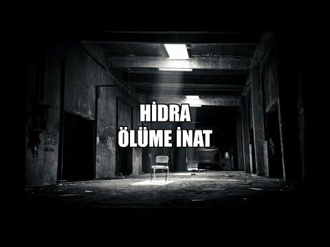 Hidra Ölüme İnat ( Lyrics/ Sözleri )