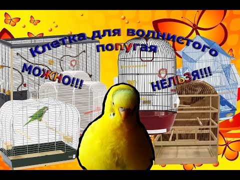Клетка для волнистого попугая. Как выбрать клетку? Какая должна быть клетка? #Уход и содержание