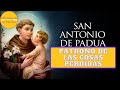 🙏 Oración a San Antonio de Padua para encontrar cosas perdida