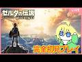完全初見でブレワイを遊ぶ配信【ゼルダの伝説 ブレス オブ ザ ワイルド】