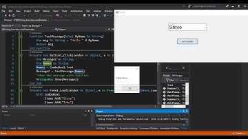 Using Function and Parameter in Visual Basic