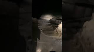 Httpsyoutubecomshortszdz8yfeukt4si8rudvsxfrw6knn9 views viral adventure fun anime