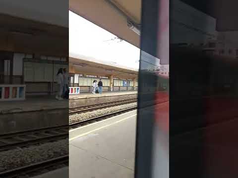 محطة بروكسل النورد وانتظار القطار 