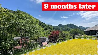How I Ended Up Buying Land In Rural Japan