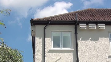 Swifts encouraging chicks to leave nest boxes 22 July 2016